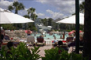 Calypso Cay Suites Resort Photos